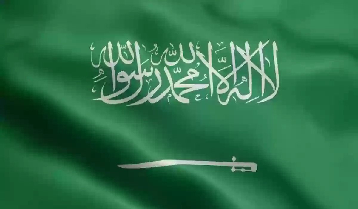 برقم الطلب تعرف على كيفية الاستعلام عن تأشيرة السعودية عبر إنجاز