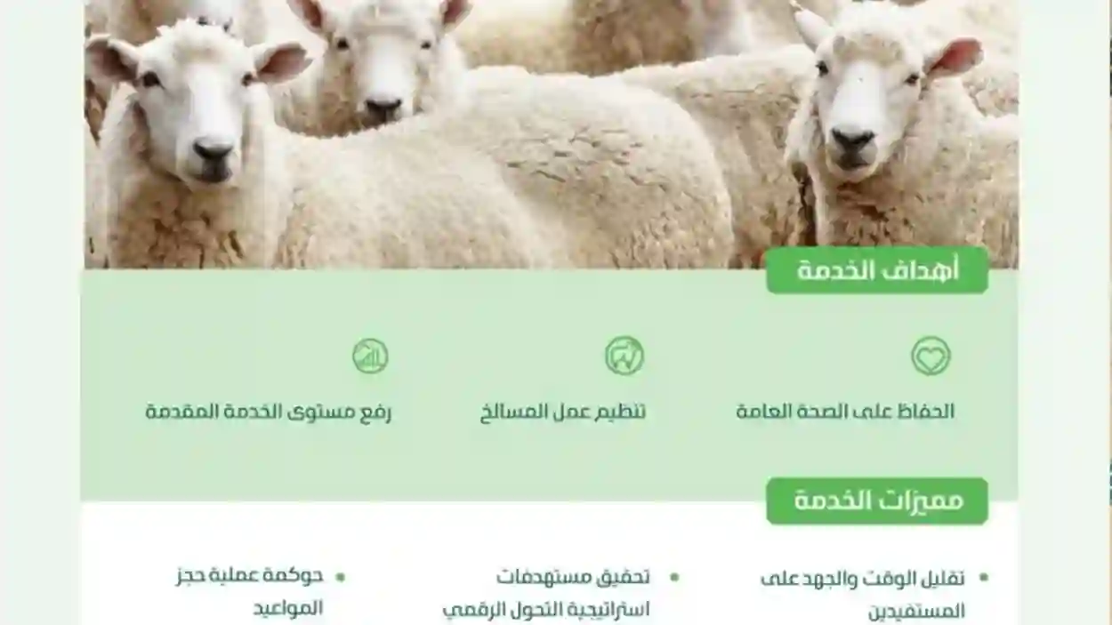 بالتزامن مع عيد الأضحى.. وزارة البيئة في حائل تطلق خدمة الحجز الإلكتروني لذبح الأضاحي