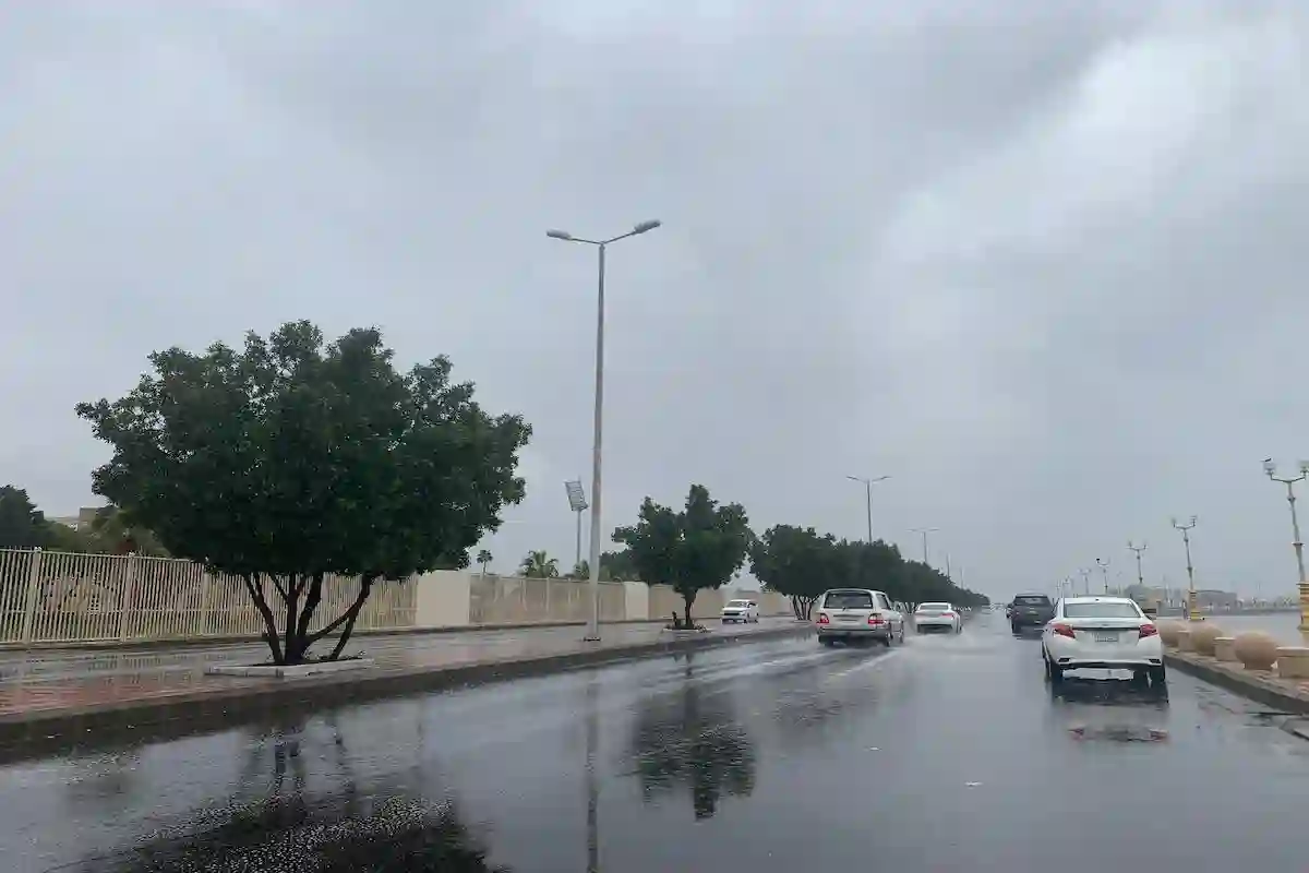 تعرف على أبرز الظواهر الجوية اليوم السبت في السعودية