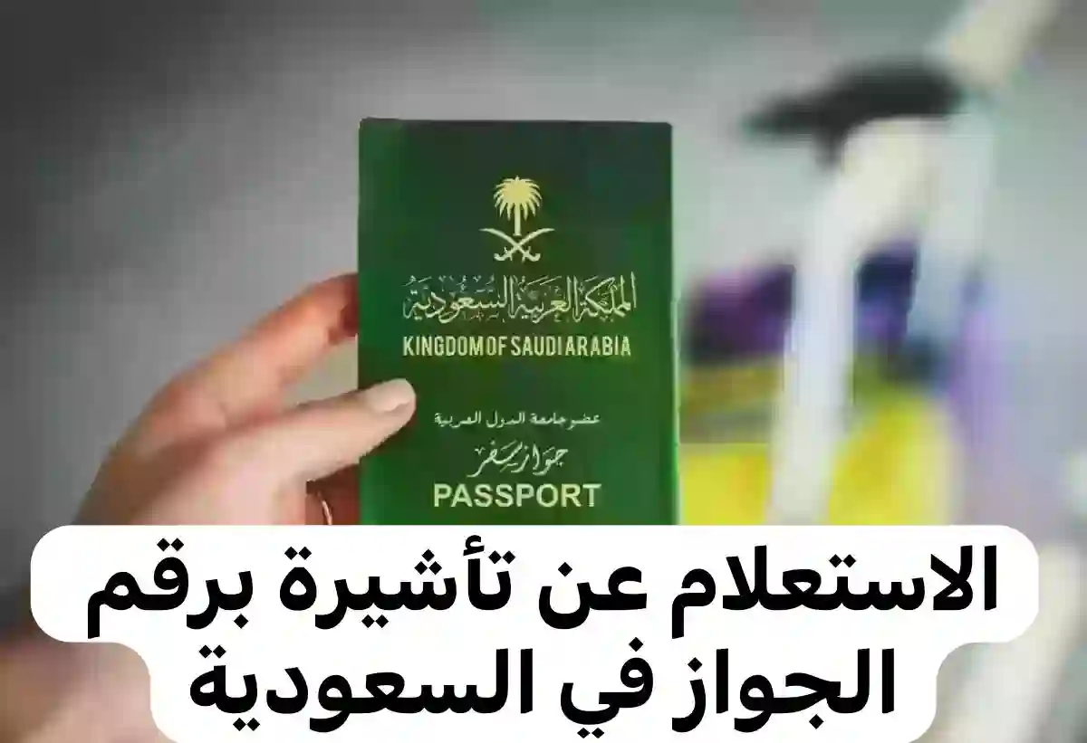 خطوات الاستعلام عن تأشيرة السعودية
