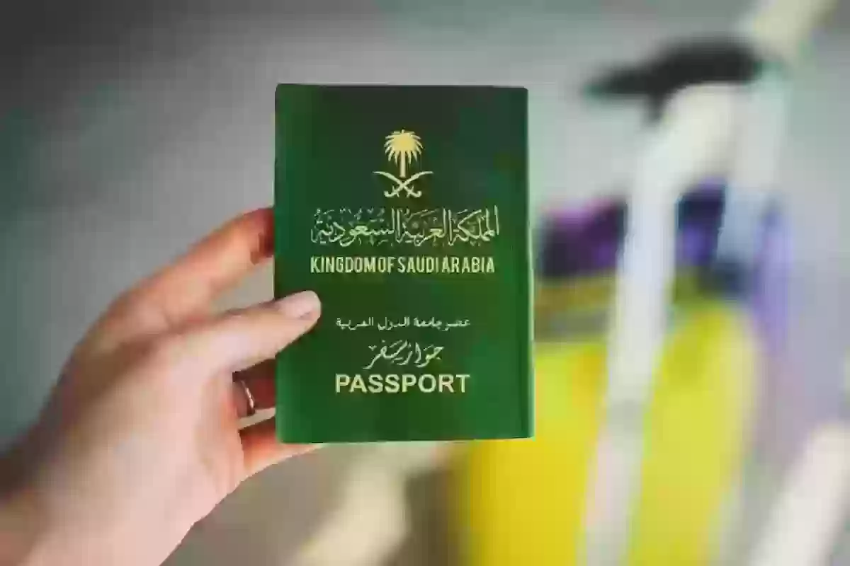 كيف تستعلم عن التأشيرة برقم الطلب